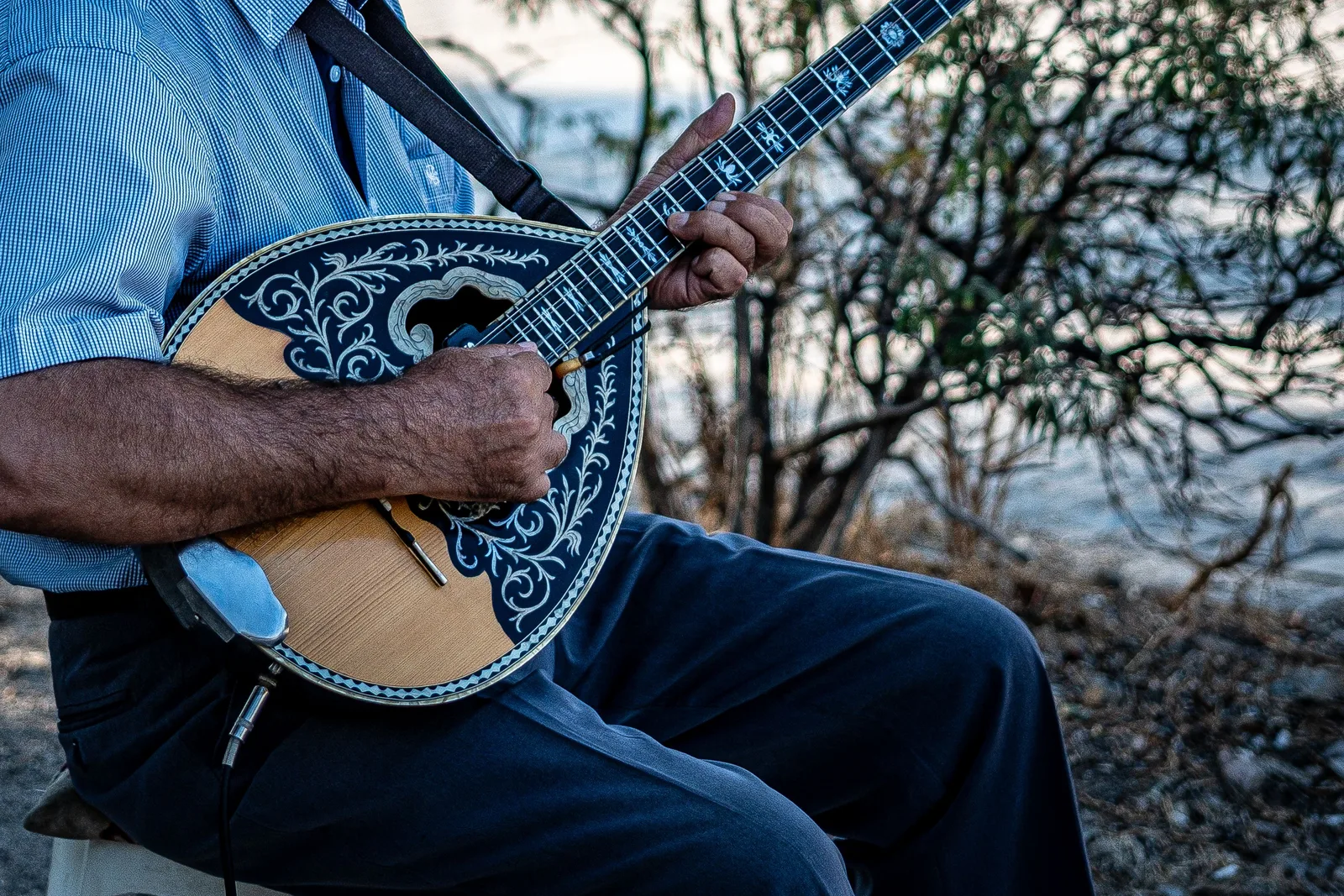 Gros plan sur la caisse en poire d'un bouzouki grec, avec sa table d'harmonie en bois clair et sa rosace en marqueterie