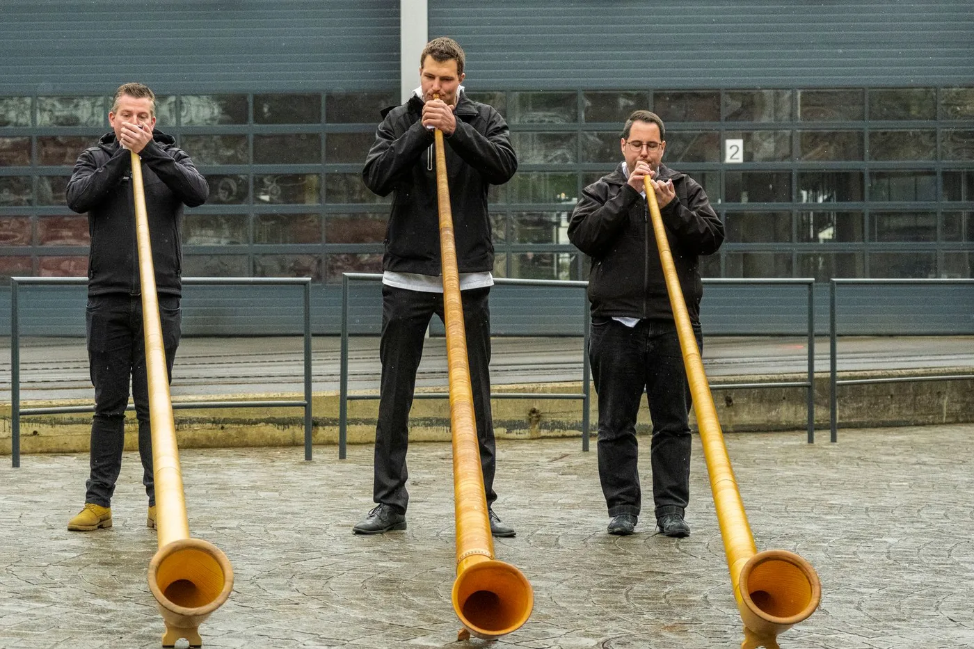 Trois cors des Alpes en bois d'épicéa, longs tubes coniques termines par un pavillon evase, tenus par des musiciens