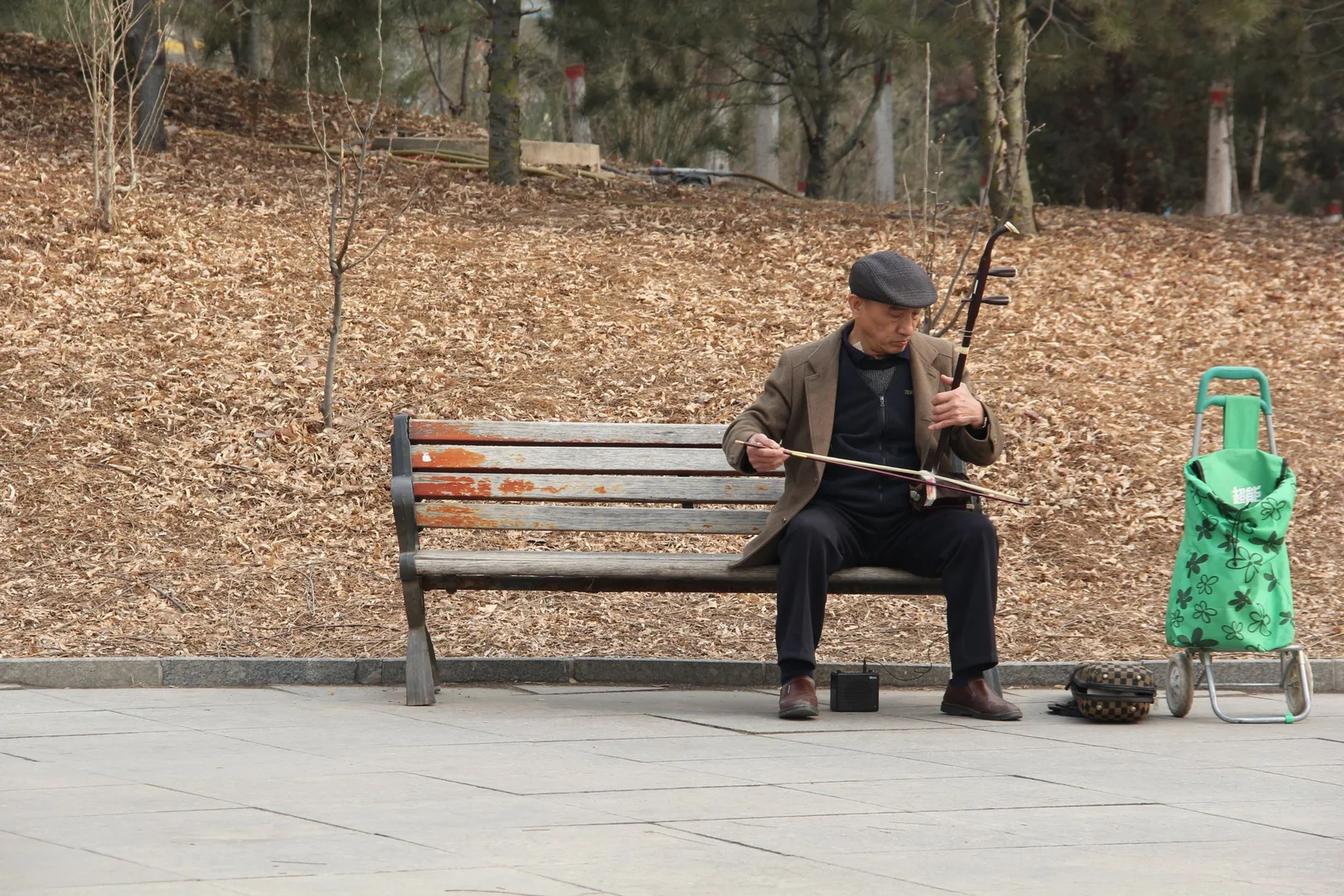 Un musicien joue de l'erhu assis sur un banc de parc, l'archet tenu horizontalement entre les deux cordes de l'instrument