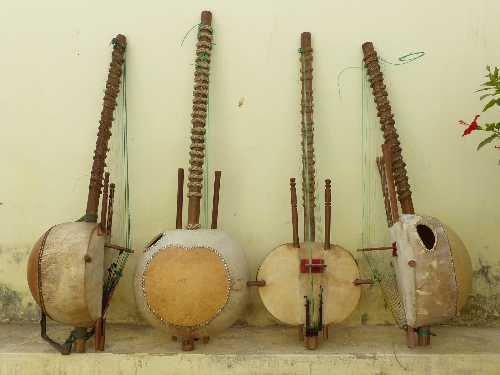 Quatre koras adossées à un mur, montrant les calebasses, les poignées de bois et les anneaux de cordes